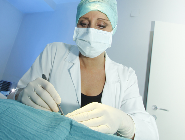 Dr. Martina Hörschläger